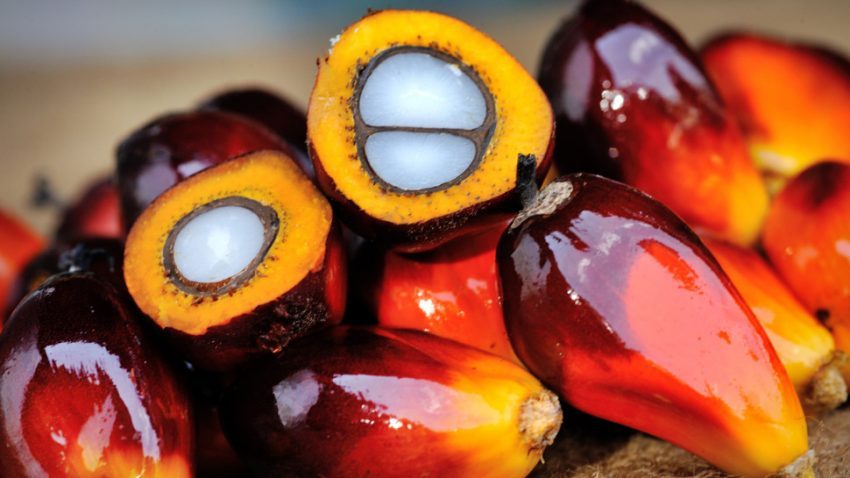 ¿Cómo podemos evitar el aceite de palma?