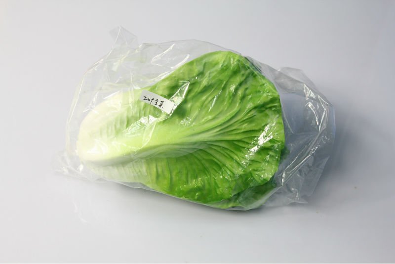 lechuga