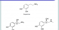 catecolaminas quimica