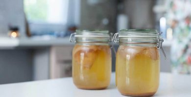 kombucha tarros