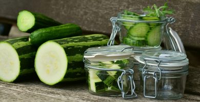vegetal verde
