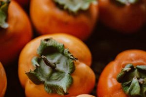 Carbohidratos refinados: efectos en la salud